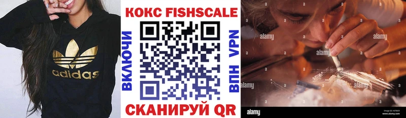 купить наркотик  Тамбов  Cocaine Fish Scale 