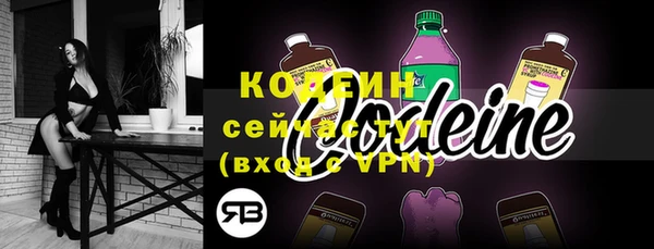 СК Дмитров