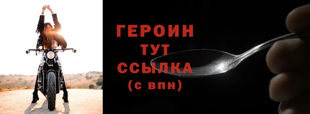 СК Дмитров