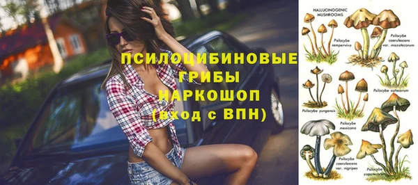 СК Дмитров