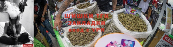 тгк Дмитровск