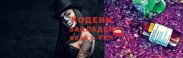 тгк Дмитровск
