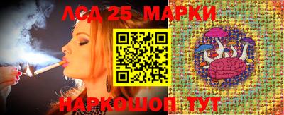 молекула духа Новозыбков