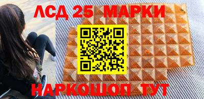 молекула духа Новозыбков