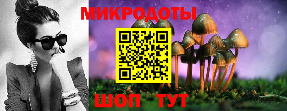 Галлюциногенные грибы Magic Shrooms Тамбов